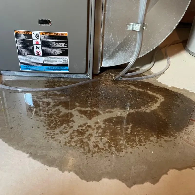 Appliance Leak Cleanup in McIntosh, SD